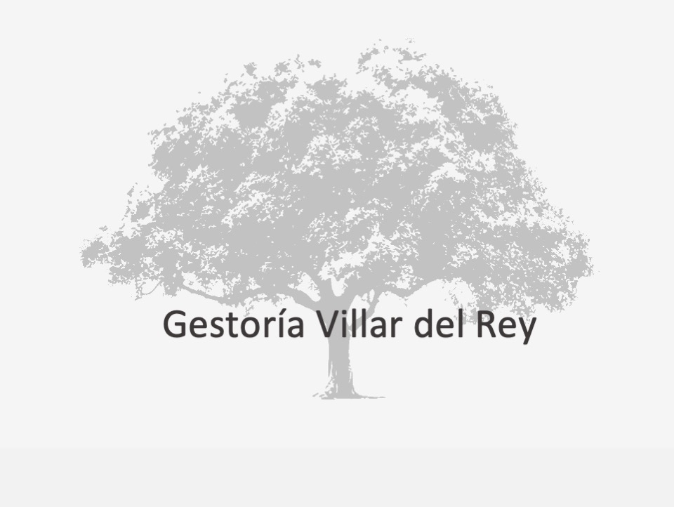 Gestoria Villar del Rey