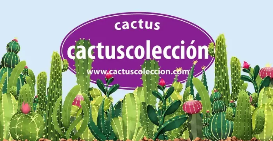 Cactuscoleccion