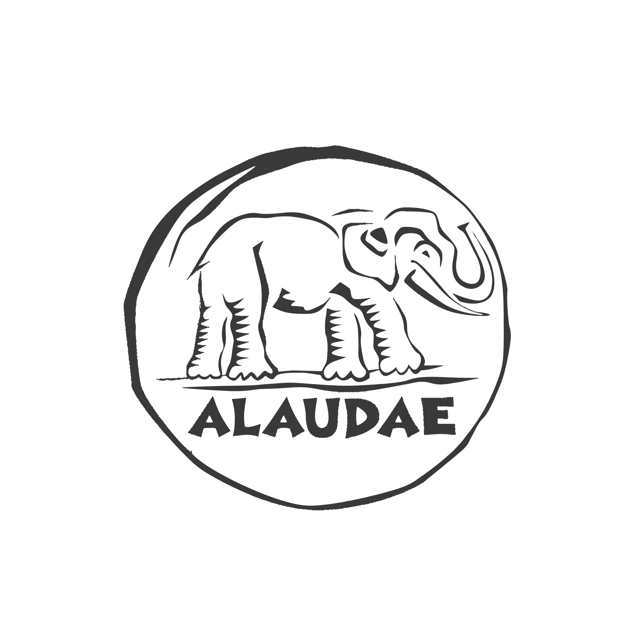 Logo Alaudae