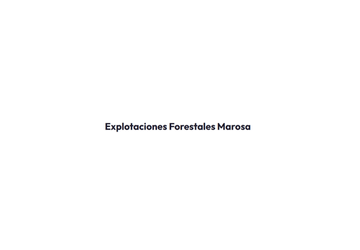 logotipo marosa