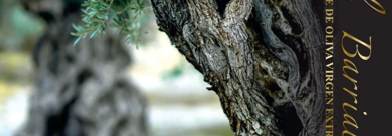 banner aceite el barrial