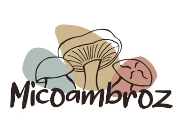 Micoambroz