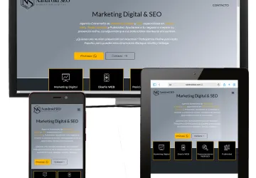 Diseño Web Nandroid SEO