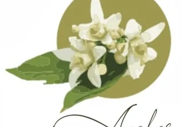 Azahar Floristería