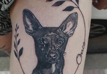 Perrita Once