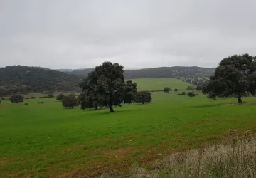 Todocampo 365