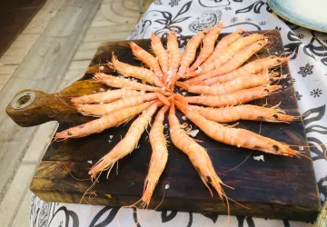 Plato 3