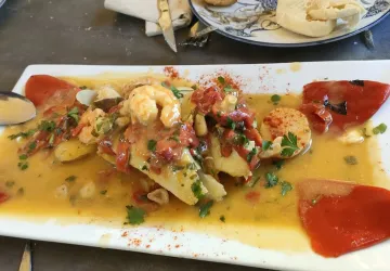 Plato 7