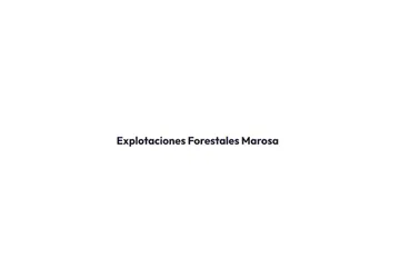 logotipo marosa